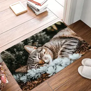 1 Piece Cartoon Style Cat Sleeping Pattern Doormat Soft Kitchen Floor Mat Doormat Living Room Laundry Room Bathroom Area Mat Decoration Cartoon Pattern Rug Home Decorative Rug