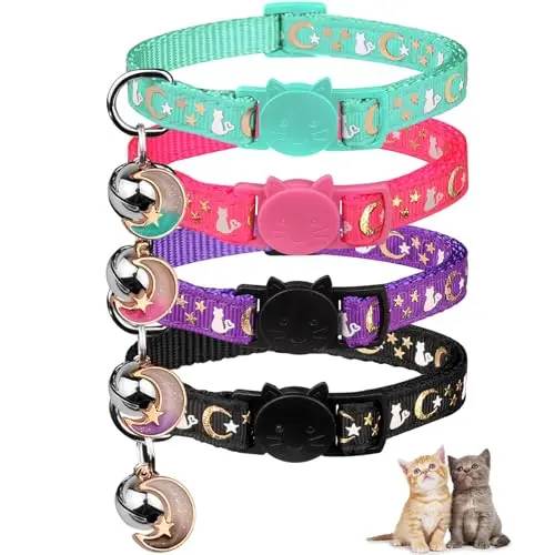 Black&Purple&Pink&Teal