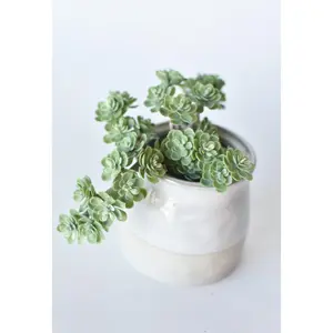 5" Faux Green Sedum Succulent Pick