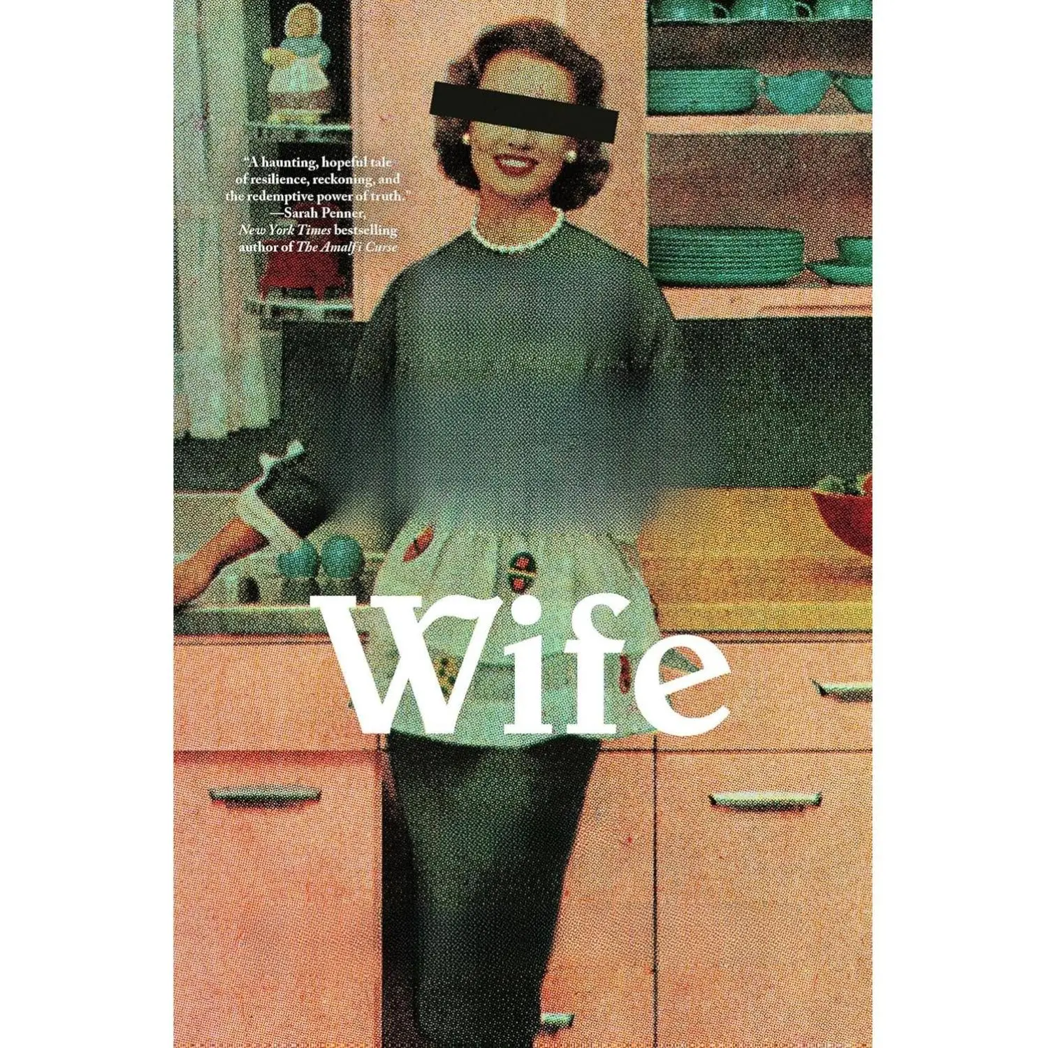 The Mad Wife: A Novel