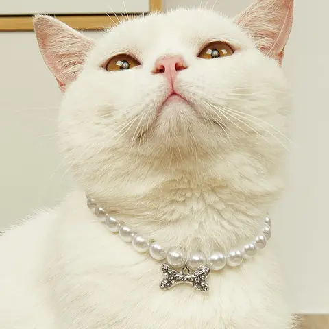 Faux Pearl Bone Pendant Pet Decoration Necklace, 1 Count Elegant Rhinestone Decor Cute Pet Necklace, Decorative Cat Collar for Small Dogs and Cats, Chihuahua Accessories
