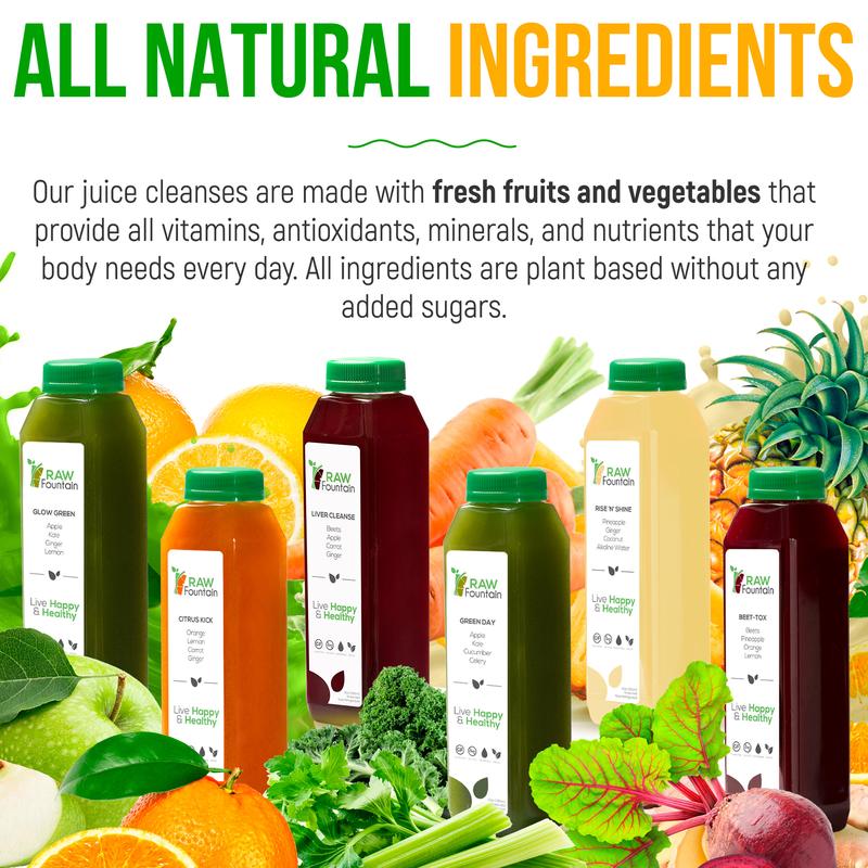 Raw Fountain 3 Day Juice Cleanse Detox - 18 Bottles of Cold Pressed Juices & 3 Ginger Shots - All Natural, No Gluten, No Wheat, No Artificial Flavors