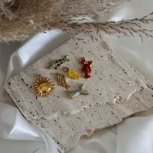 Add On Charm