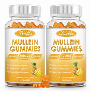 2 Pack Mullein Gummies with Bromelain & Quercetin, 1000mg Mullein Leaf Extract, Support Immune System, Digestion & Respiratory Health, Delicious Fruit Flavor