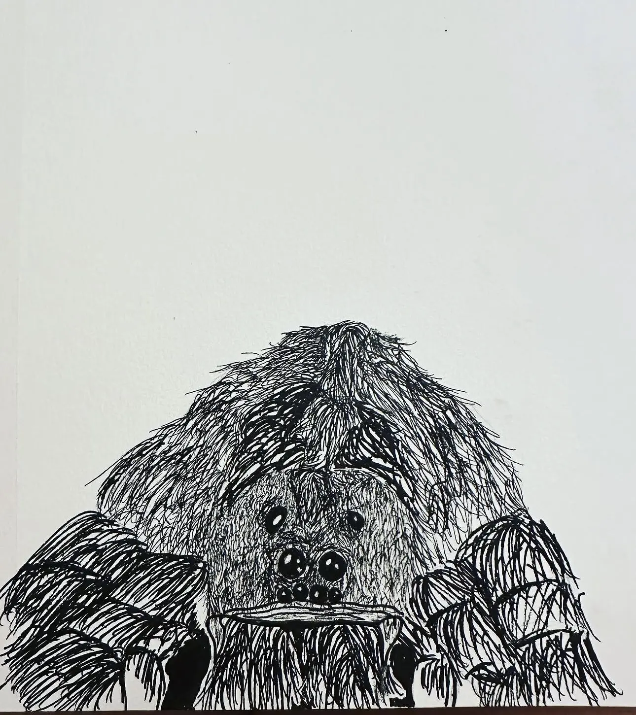 Spider Drawing