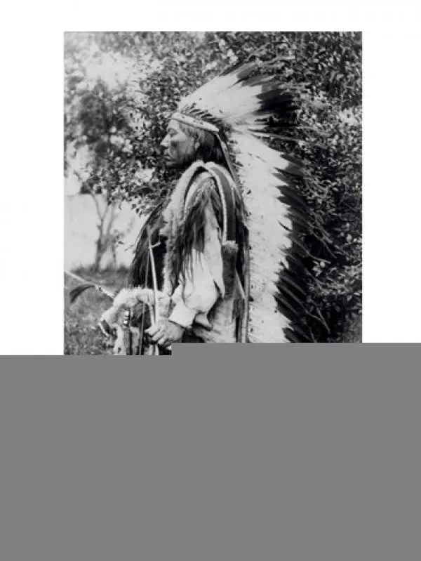 Artistic White Wolf Comanche Chief Poster Print - 18x24 in, Home Decor Wall Art, Ideal Gift for Home Supplies Enthusiasts