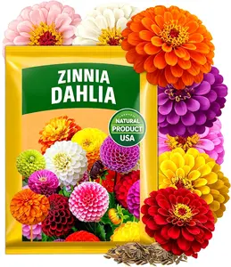 Zinnia Dahlia Seeds Pack for 2026 Non GMO 500+ Flower Seeds | Vibrant Zinnia Elegans for Pollinator Gardens, Borders & Containers | Easy-to-Grow Outdoor Blooms