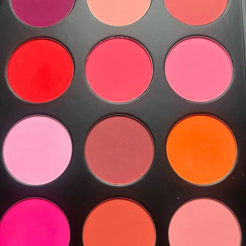 Just Blushing Blush Pallet - Colorful Makeup Palette with Various Shades of Blushes for Cosmetic Use
