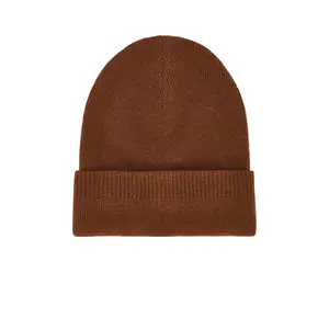 Rag & Bone Max Beanie in Chocolate Brown