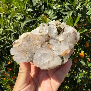 Garden Clear Quartz Epidote Crystals Raw Mineral Collectors Specimen