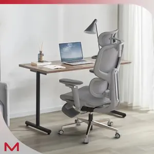 DTS Ultimate Lumbar Support Ergonomic Office Chair