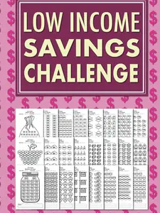 Low Income Savings Challenge Book Simple Money Savings Challenges Tracker for Women, Easy Way to Save Money … Paperback – January 12, 2023