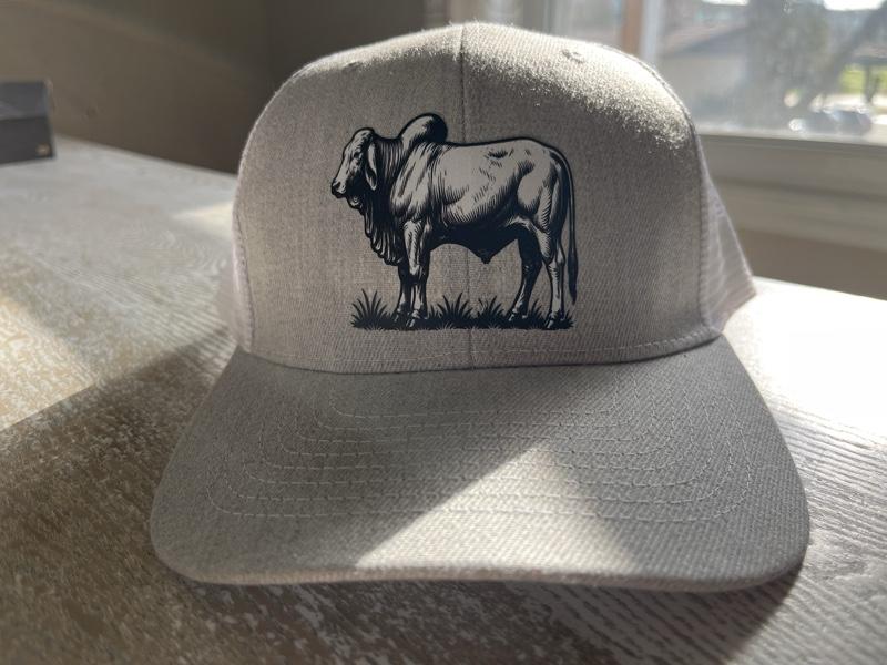 Bull Design Cap