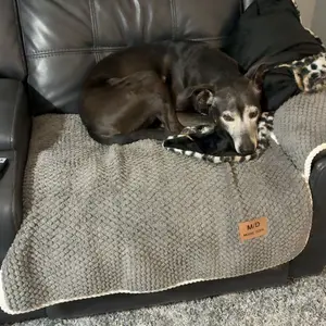 Luxury Thick Couch Cover, 1 Count Soft Textured Couch Seat Pad, Non-Slip Washable Sofa Protector Mat, Pet-Friendly Modern Sofa Cover for Sectional, Sofa Slipcover, Loveseat & 3-Seater Couch