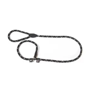 Julius-K9 IDC® Retriever Leash with Training Collar