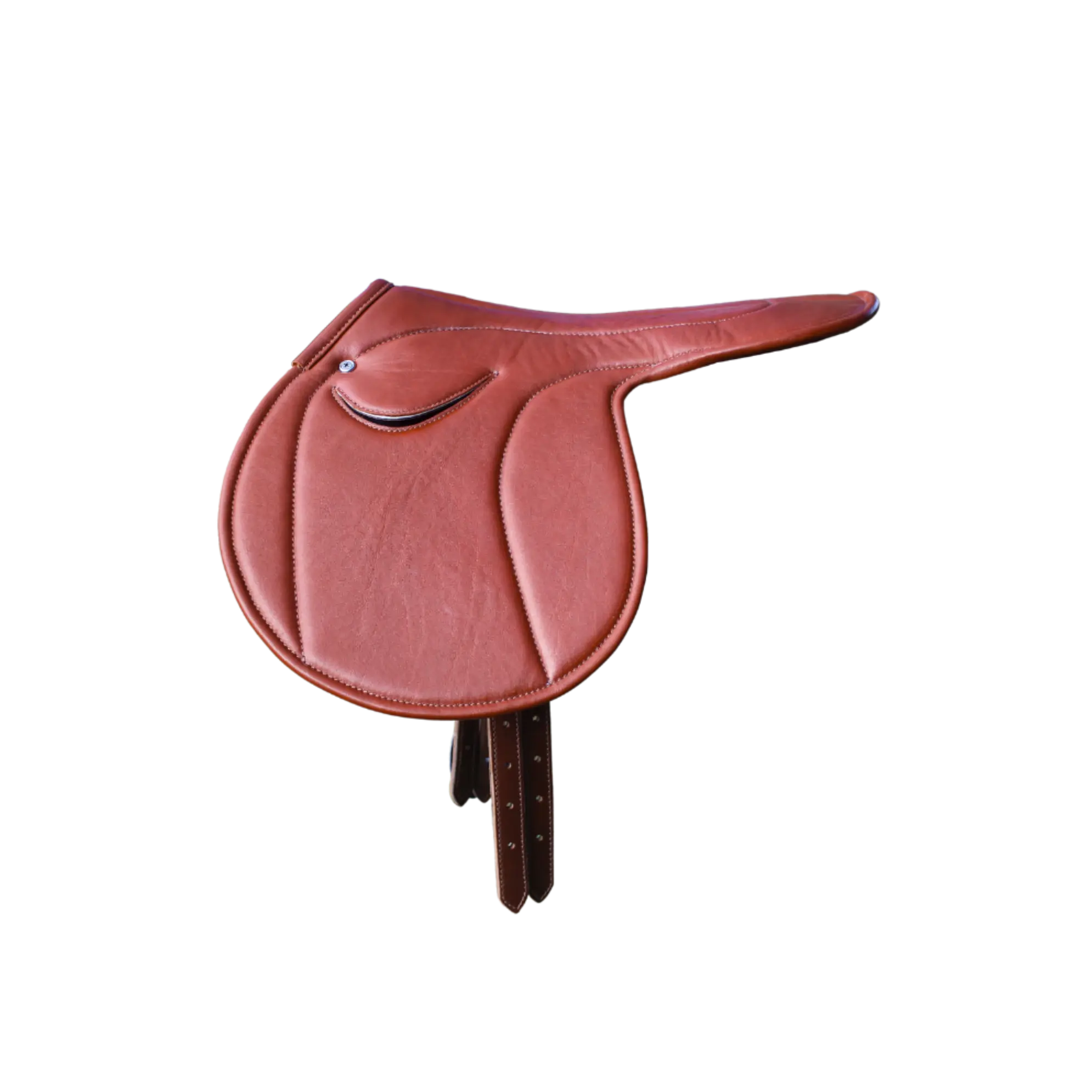 Exercise Saddle