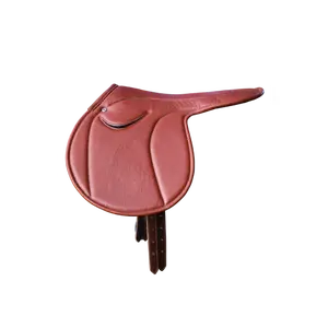 Exercise Saddle