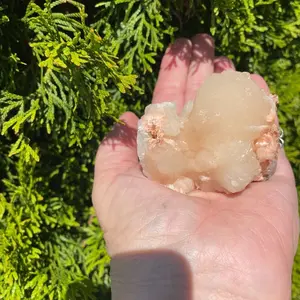 Zeolite Cluster
