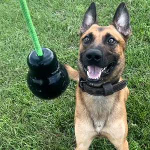 Interactive Reward Balls with Rope for Dogs and Puppies