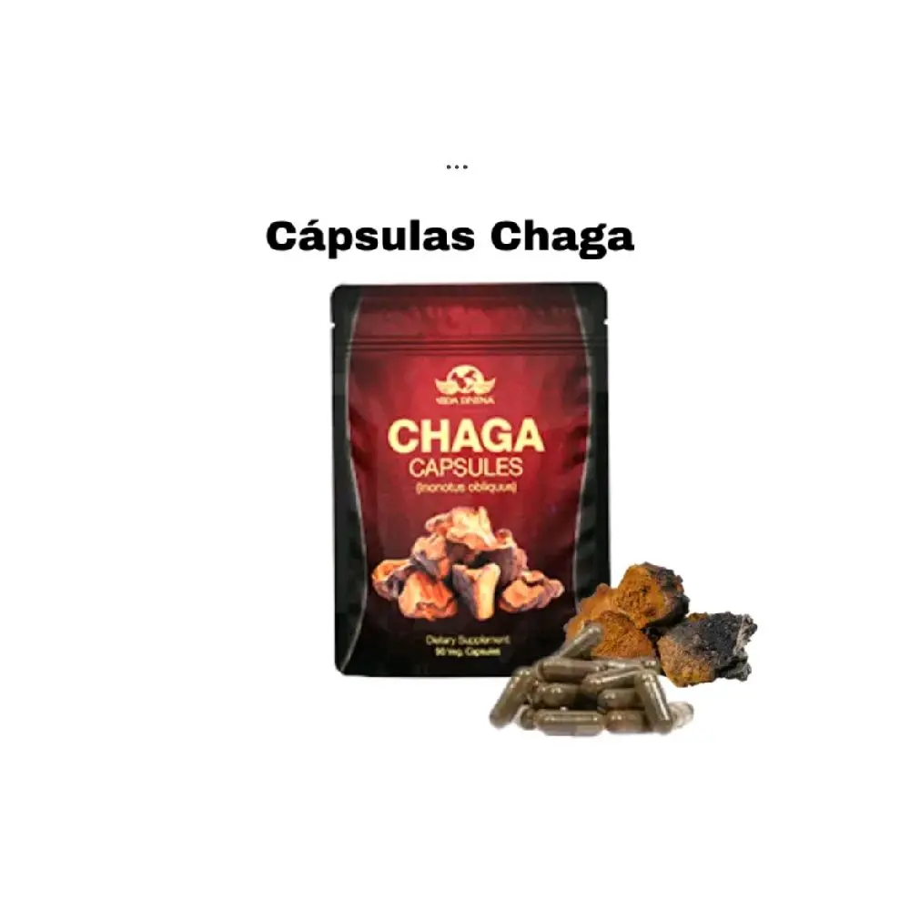 Vida Divina Chaga Capsules 90 Count - Natural Health Supplement for Wellness