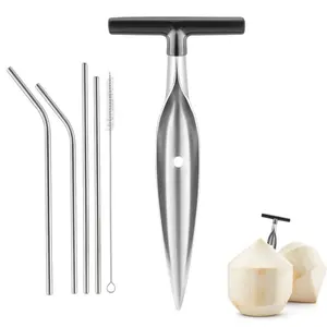1/2/6-piece Premium Coconut Opener Kit - Stainless Steel T-Handle Coconut Drill, Reusable Straws & Brush, Food Safe Tool for Home & Outdoor Use