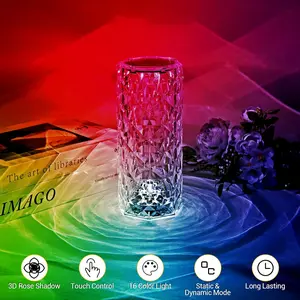 16-color mood light, anniversary decoration night light, USB-C rechargeable, crystal rose light, with remote control, dual-control touch remote control, suitable for bedroom and living room