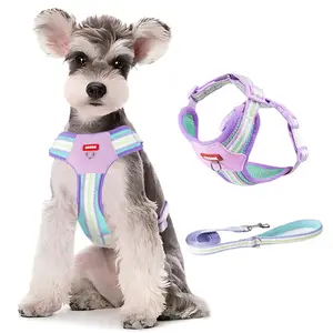 Colorful Dog Harness with Handle Lightweight Breathable