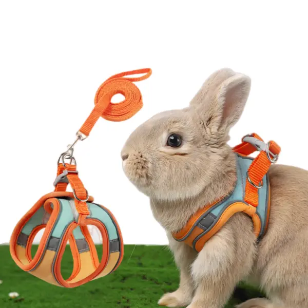 Escape Proof Rabbit Harness and Leash Set - Adjustable Professional Vest Harness for Small Pets, Outdoor Walking Traction Rope, Trail Decorative Leash for Rabbits