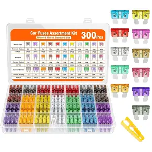 300 Pcs Car Fuse Assortment Kit - 160 Mini Blade Fuses, 50 Micro Fuse, 1 Puller for 2Amp to 40A Fuses