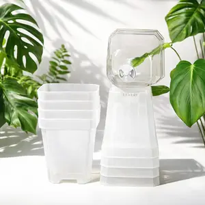 3" Clear Nursery Pots with Humidity Domes (5 Pack)