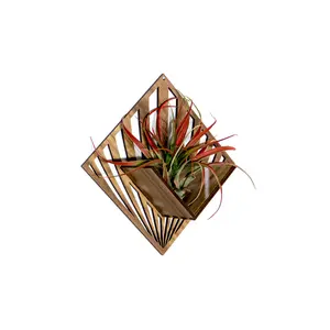Quadrate Wall Planter 5 - Air Plant Holder Wall Hanging Display, Handcrafted, Lasercut Wood, Acrylic, 7.7" Width x 7.7" Height