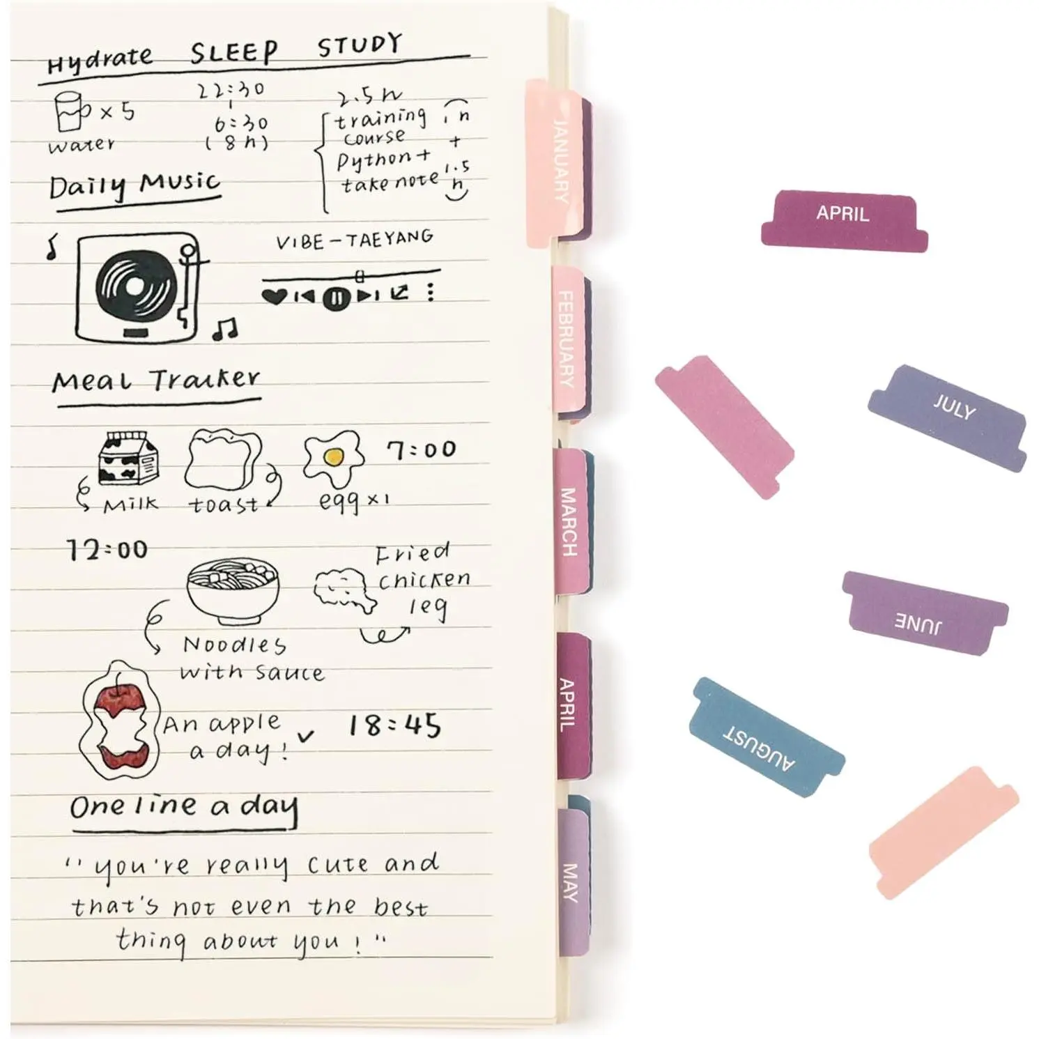 Laminated Planner Monthly Stickers,40 Adhesive Plan Tabs Accessories for Notebooks (2 Sets 12 Month Tabs and 16 Blank Tabs), Calendar Monthly Divider Set (Purple & )