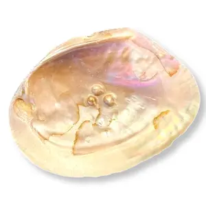 Blister Pearl Smudging Shell