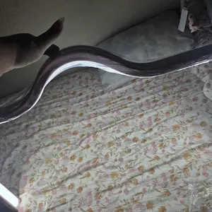 review image 8
