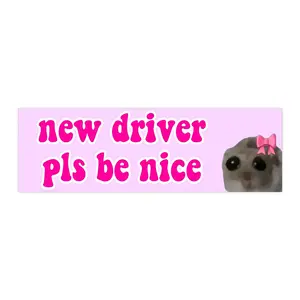 New Driver Pls Be Nice Funny Meme Sticker Bumper Sticker AND Magnet Set for New Drivers Perfect Gift for Car or Metal Surface