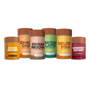 6-Pack Bundle: Organic Chaga Chai (Tea) & Mocha, Organic Golden Milk, Organic Matcha Latte, Organic Brain & Energy Boost Instant Coffee Beverage Powder