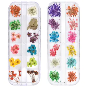 24 Colors Dried Flowers for Nail Art, 2 Boxes 3D Dry Flowers Nail Stickers Colorful Natural Real Flower Nail Decals springtok