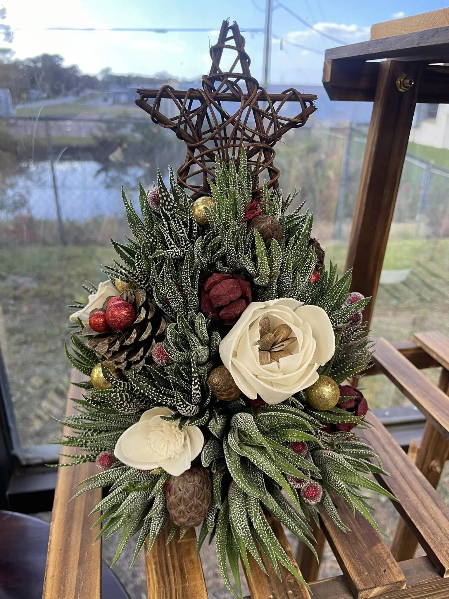 Succulent Christmas Tree/ Live plants/ Living Succulent Tree/ holiday/ Decor/ Haworthia/ Gift/ present