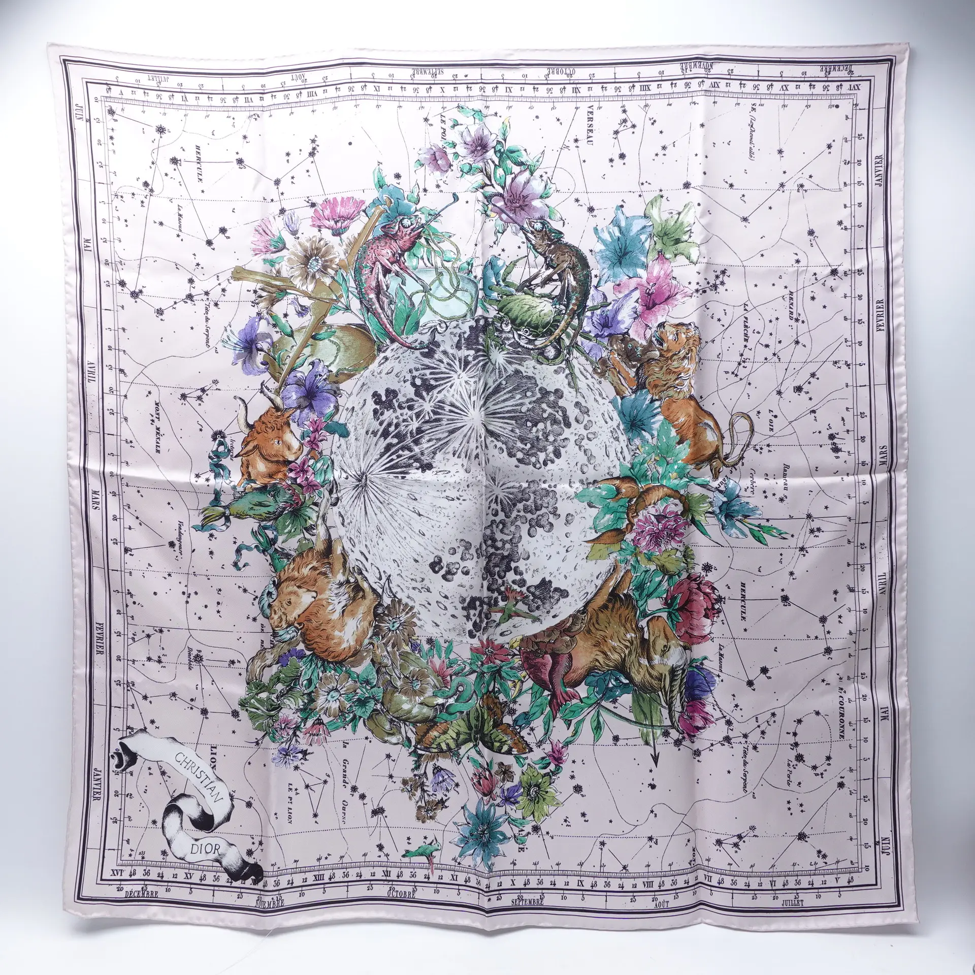Pre-owned Dior Multicolor Silk Twilly T10395585