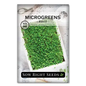 Microgreens Basil basil seeds
