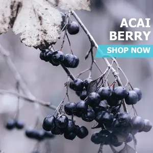 Acai Berry Powder