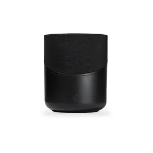 Bluesound Pulse M