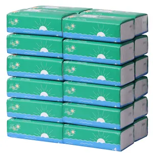 3-Ply Facial Tissues – 24 Boxes × 110 Sheets (2,640 Total) – Ultra Soft, Hypoallergenic, FSC-Certified, Gentle on Skin – Perfect for Home, Office, Car & Travel