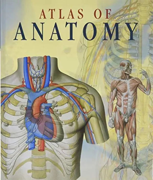 Used Anatomy Book - Dr. Giovanni Iazzetti et. al.'s Atlas of Human Anatomy, Used-Book for Biology, Health Care, Physiology Studies (English Paperback, Literature Medical Reference)