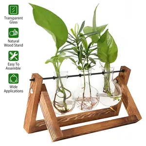 Desktop Glass Planter with Wooden Stand - Bulb Plant Terrarium