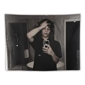 Tapestry  Chris Star Sturniolo Flag Wall Art Hanging,For Decorate Clubs Concerts Bars University Dormitories Living Rooms Bedrooms Decor Tapestry Chris_Star_Sturniolo Tapestry