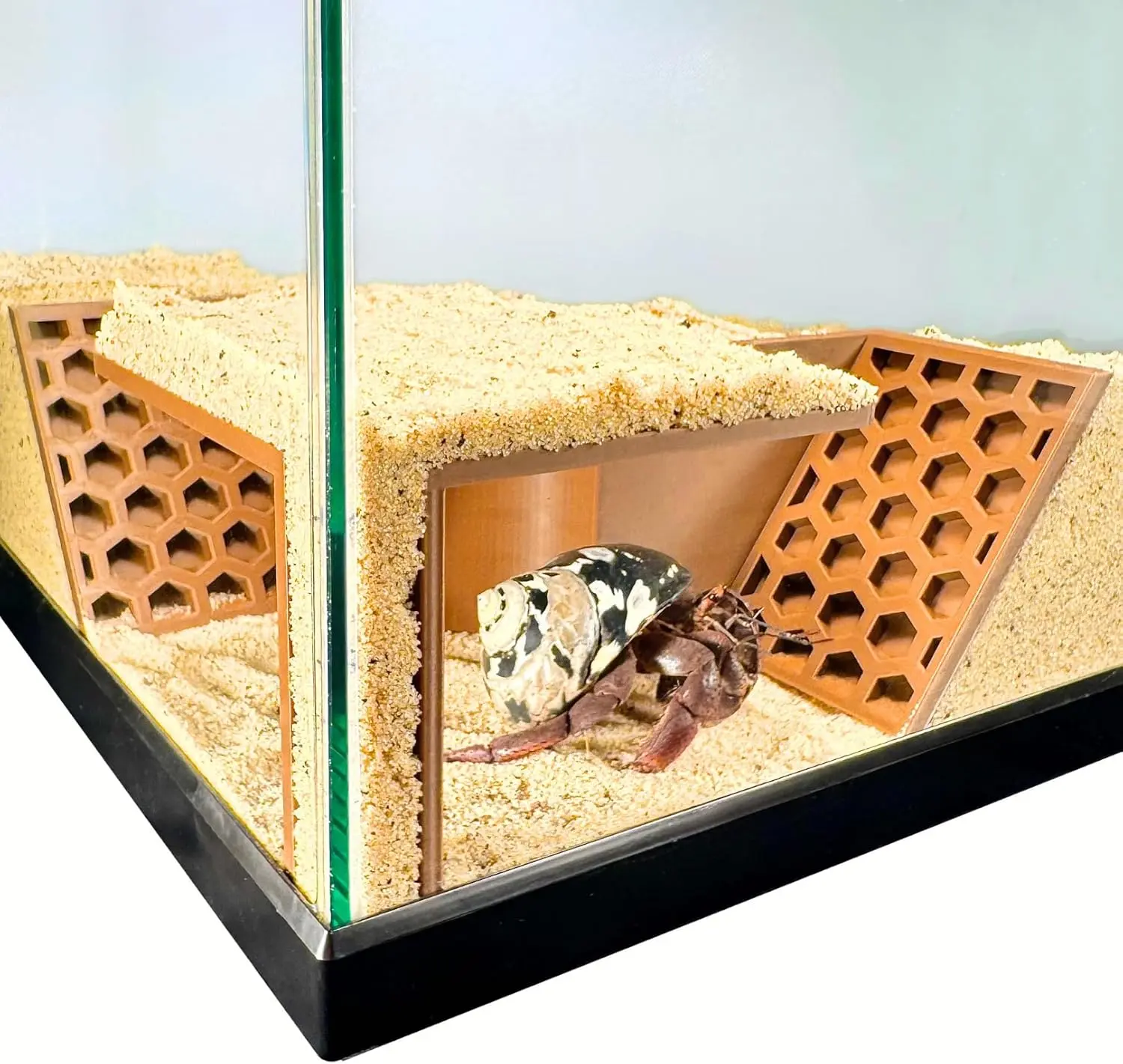 Lucky Critter Hermit Crab Underground Tunnel Cave Corner