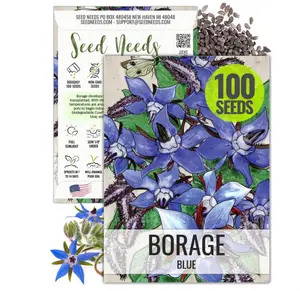 Seed Needs Borage Seeds for Planting Blue Star Flowers - Heirloom Non-GMO & Untreated - Plant a Home Grown Flowering Herb Garden Attract Bees, Butterflies & Other Pollinators (1 Pack)