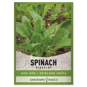 Viroflay Spinach Seeds