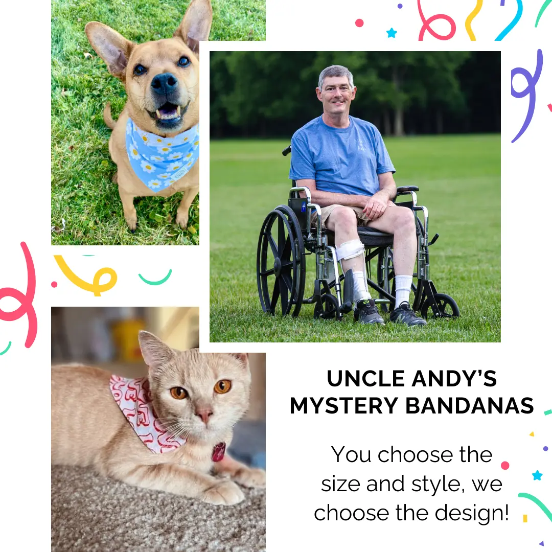 Mystery Dog And Cat Bandanas Mystery Dog And Cat Bandanas